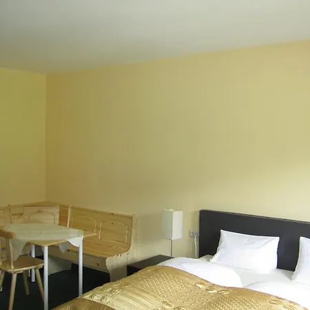 The Art & Sport Hotel Innsbruck