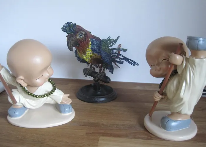 فندق آرت آند سبورت