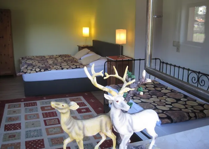 آرت آند سبورت إنسبروك